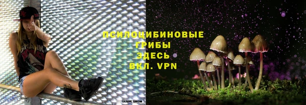 стафф Краснотурьинск