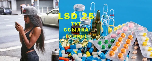 стафф Краснотурьинск