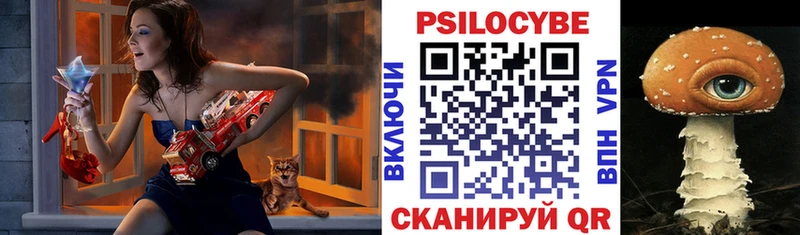 Псилоцибиновые грибы Cubensis  Купить  Моршанск 
